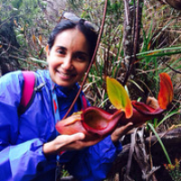 image image • <a style="font-size:0.8em;" href="http://www.flickr.com/photos/124758168@N06/15972374123/" target="_blank">View on Flickr</a>